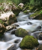 Focus on the power of going with the flow